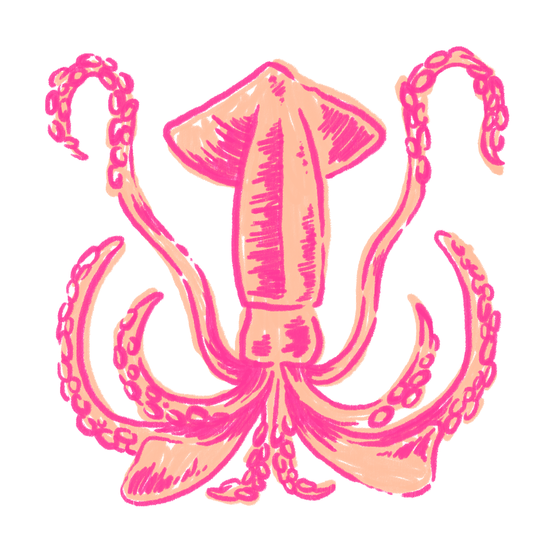 Squid_2.0_1